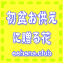���~�E�������t�����[���W