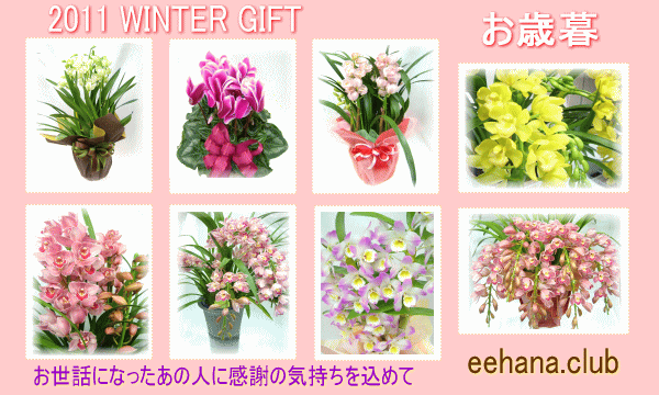 2011お歳暮特集