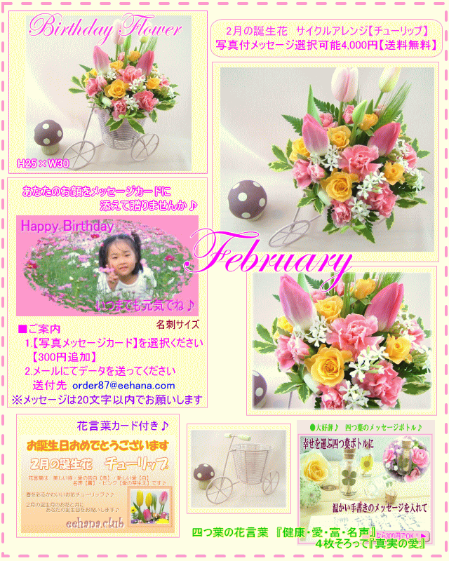 2月の誕生花