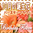 10���������