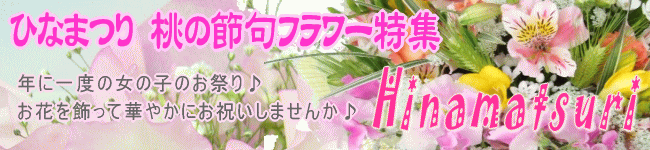 �Ҥʺפꡦ�������ե��ý�
