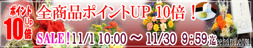 ポイントＵＰ企画！開催中！！