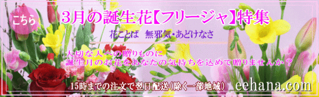 花ギフト3月の誕生花 誕生日 フリージア バラ お祝い お供え花アレンジ 花束 プリザーブドフラワー特集 送料無料 いい花コム